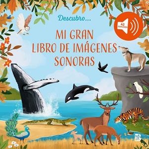 MI GRAN LIBRO DE IMAGENES SONORAS | 9789403242446 | BALLON