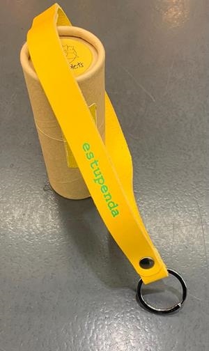 CLAUER ELS XIMPLETS ESTUPENDA GROC | 9999900013436