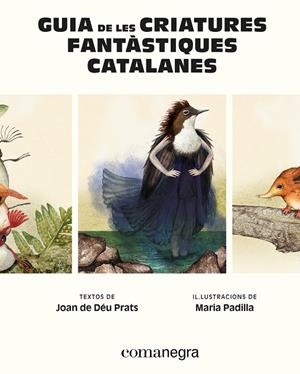 GUIA DE LES CRIATURES FANTÀSTIQUES CATALANES | 9788410161900 | PRATS, JOAN DE DÉU