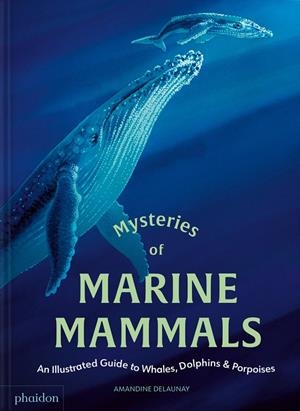 MYSTERIES OF MARINE MAMMALS | 9781837290208 | DELAUNAY, AMANDINE
