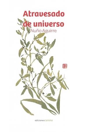 ATRAVESADO DE UNIVERSO | 9791387623135 | AGUIRRE, NUÑO