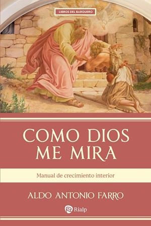 COMO DIOS ME MIRA | 9788432172090 | FARRO FERNANDEZ, ALDO ANTONIO