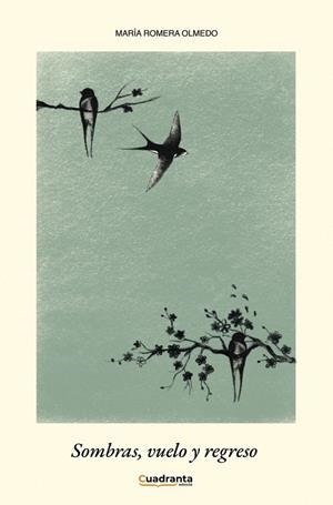 SOMBRAS, VUELO Y REGRESO | 9791387773489 | ROMERA OLMEDO, MARIA