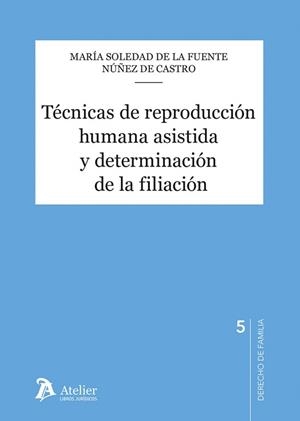 TÉCNICAS DE REPRODUCCIÓN HUMANA ASISTIDA Y DETERMINACIÓN DE LA FILIACIÓN | 9791387867904 | DE LA FUENTE NUNEZ DE CASTRO, MARIA SOLEDAD