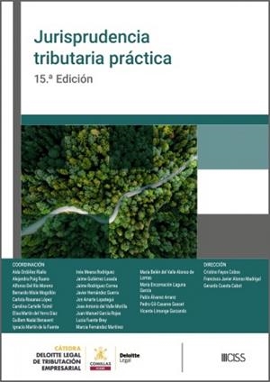 JURISPRUDENCIA TRIBUTARIA PRÁCTICA (15 EDICIÓN) | 9788499549170 | FAYOS COBOS, CRISTINO / ALONSO MADR, FRANCISCO JAVIER
