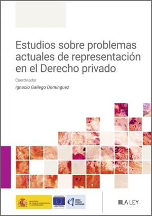 ESTUDIOS SOBRE PROBLEMAS ACTUALES DE REPRESENTACIÓN EN EL DERECHO PRIVADO | 9791387743291 | GALLEGO DOMINGUEZ, IGNACIO