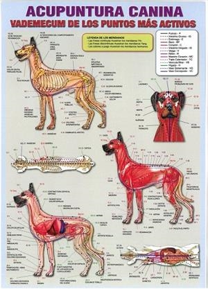 LÁMINAS DIDÁCTICAS - ACUPUNTURA CANINA | 8436005171063