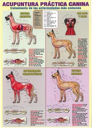 LÁMINAS DIDÁCTICAS - ACUPUNTURA PRÁCTICA CANINA | 8436005171070
