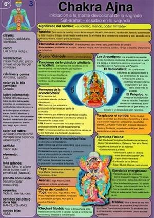 LÁMINAS DIDÁCTICAS - CHAKRA AJNA | 8436005169985
