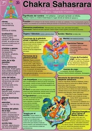 LÁMINAS DIDÁCTICAS - CHAKRA SAHASRARA | 8436005169992