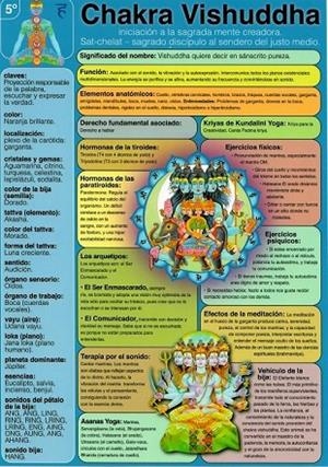 LÁMINAS DIDÁCTICAS - CHAKRA VISHUDDHA | 8436005169978