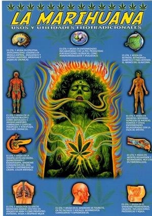 LÁMINAS DIDÁCTICAS - LA MARIHUANA | 8436005164485