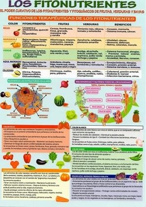 LÁMINAS DIDÁCTICAS - LOS FITONUTRIENTES | 8436005169640
