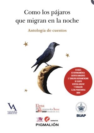 COMO LOS PÁJAROS QUE MIGRAN EN LA NOCHE | 9791387785482