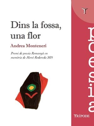 DINS LA FOSSA, UNA FLOR | 9791399090338 | MONTENERI, ANDREA