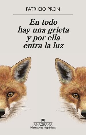 EN TODO HAY UNA GRIETA Y POR ELLA ENTRA LA LUZ | 9788433949158 | PRON, PATRICIO