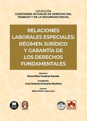 RELACIONES LABORALES ESPECIALES : RÉGIMEN JURÍDICO Y GARANTÍA DE LOS DERECHOS FUNDAMENTALES | 9791370114749 | ÁLVAREZ CUESTA, HENAR
