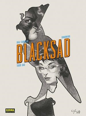 BLACKSAD 06 : TODO CAE (EDICIÓN 25 ANIVERSARIO) | 9788467980165 | DIAZ CANALES, JUAN / GUARN, JUANJO