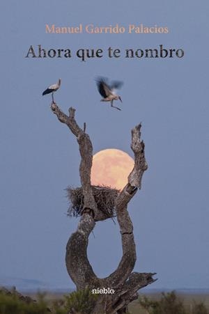 AHORA QUE TE NOMBRO | 9791399107203 | GARRIDO PALACIOS, MANUEL