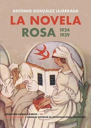 NOVELA ROSA, LA. 1924-1939 | 9788419026255 | GONZÁLEZ LEJÁRRAGA, ANTONIO