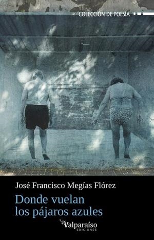 DONDE VUELAN LOS PÁJAROS AZULES | 9791388007309 | MEGIAS FLOREZ, JOSE FRANCISCO