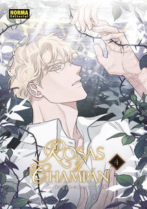 ROSAS Y CHAMPAN 04 | 9788467981889 | GAE, TTUNG