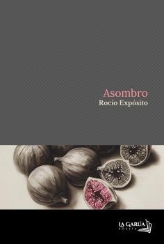 ASOMBRO | 9791399003468 | EXPÓSITO CARMONA, ROCÍO