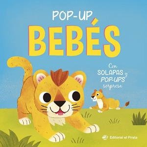 POP-UP BEBÉS (ED. EN CASTELLÀ) | 9788419898968 | BLAKE, CARLY