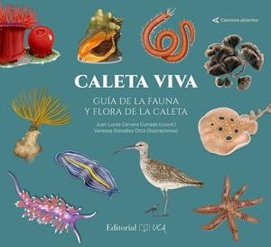 CALETA VIVA. GUIA DE LA FAUNA Y FLORA DE LA CALETA | 9788498289152