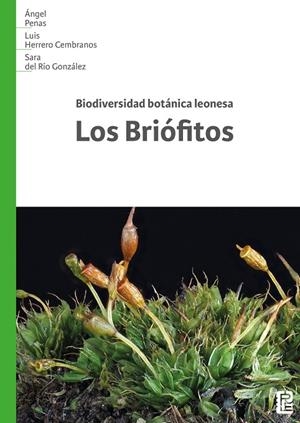 BIODIVERSIDAD BOTANICA LEONESA LOS BRIOFITOS | 9791387583286 | PENAS, ANGEL / HERRERO CEMBRANOS, LUIS