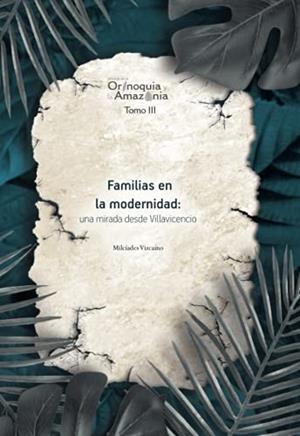 FAMILIAS EN LA MODERNIDAD : UNA MIRADA DESDE VILLAVICENCIO | 9789587601633 | VIZCAÍNO GUTIÉRREZ, MILCÍADES