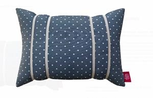 COIXI DE LECTURA ACER PUNTETS | 8437018173556