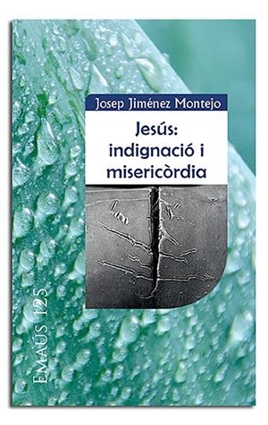 JESÚS : INDIGNACIÓ I MISERICÒRDIA | 9788498058574 | JIMÉNEZ MONTEJO, JOSEP