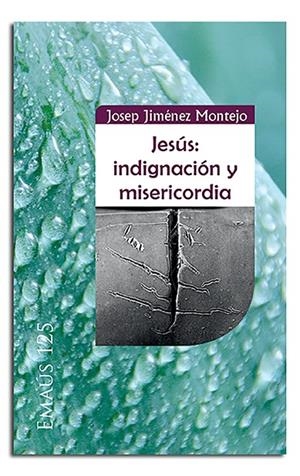 JESÚS : INDIGNACIÓN Y MISERICORDIA | 9788498058581 | JIMÉNEZ MONTEJO, JOSEP