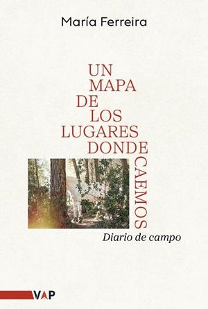 MAPA DE LOS LUGARES DONDE CAEMOS, UN | 9788409819072 | FERREIRA BASANTA, MARÍA