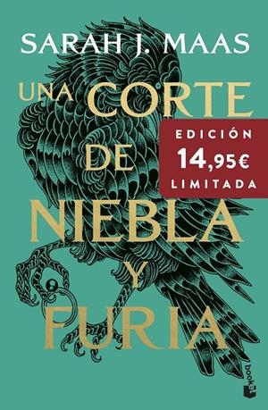 CORTE DE ROSAS Y ESPINAS 02, UNA. UNA CORTE DE NIEBLA Y FURIA | 9788408316954 | MAAS, SARAH J.