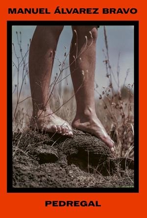PEDREGAL | 9788410290556 | ALVAREZ BRAVO, MANUEL