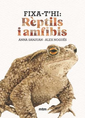 FIXA-T'HI : RÈPTILS I AMFIBIS | 9788410407602 | SANJUAN LLORENS, ANNA / NOGUÉS OTERO, ALEX