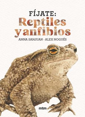 FÍJATE : REPTILES Y ANFIBIOS | 9788410407596 | SANJUAN LLORENS, ANNA / NOGUÉS, ALEX