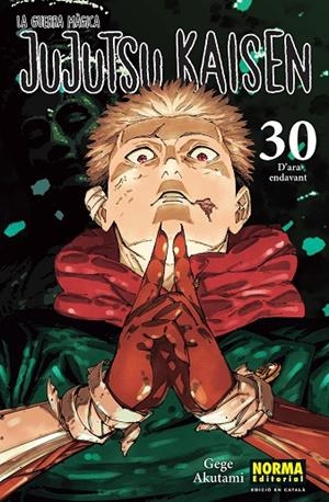 JUJUTSU KAISEN 30 (ED. EN CATALÀ) | 9788467976281 | AKUTAMI, GEGE