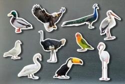 MAGNETICOS AVES | 0760412890889