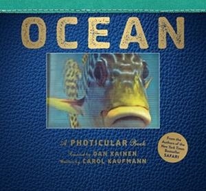 OCEAN | 9780761180517 | KAINEN, DAN / KAUFMANN, CAROL
