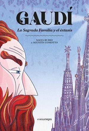 GAUDÍ. LA SAGRADA FAMILIA Y EL ÉXTASIS | 9791387969332 | RUBIO, SALVA