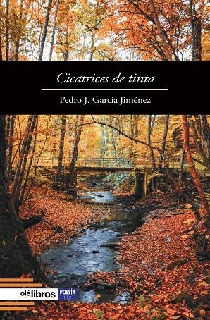 CICATRICES DE TINTA | 9791387951535 | GARCIA JIMENEZ, PEDRO J.