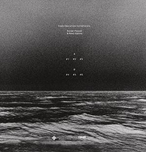 HABITACULOS LUNATICOS (VINILO) | 9788490447420 | PORCEL, ADRIAN / GARCIA, ROSA