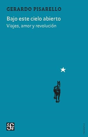 BAJO ESTE CIELO ABIERTO | 9788437508573 | PISARELLO, GERARDO