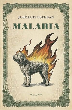 MALARIA | 9788419766908 | ESTEBAN, JOSÉ LUIS