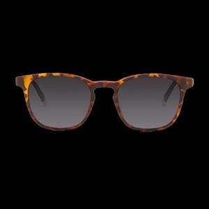 ULLERES LE MARAIS TORTOISE SUN | 5060655493782