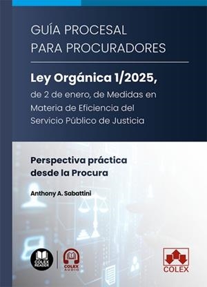 GUIA PROCESAL PARA PROCURADORES. LEY ORGANICA 1/2025, DE 2 DE ENERO, DE MEDIDAS EN MATERIA DE EFICENCIA DEL SERVICIO PÚBLICO DE JUSTICIA | 9791370116774 | SABATTINI, ANTHONY A.