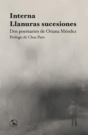 INTERNA / LLANURAS SUCESIONES | 9788418782831 | MENDEZ, ORIANA